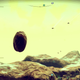Illustration for article titled First day of No Mans Sky in screenshots (on PC)